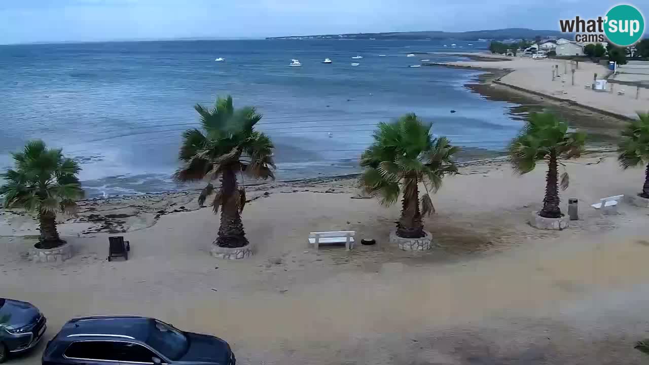 Livecam Vir beach – Dalmatia