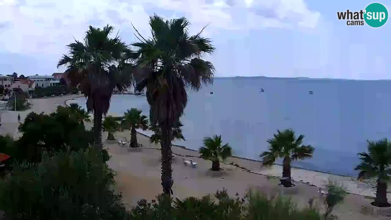 Livecam Vir beach – Dalmatia