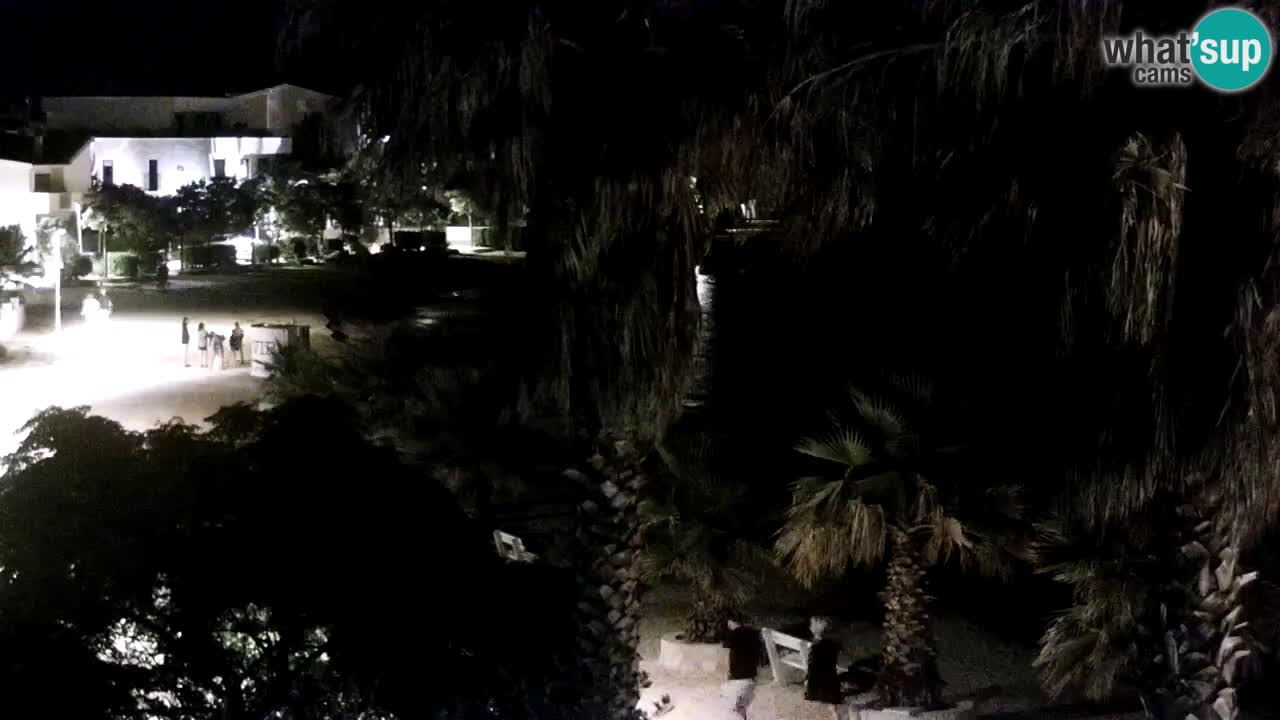 Livecam Vir beach – Dalmatia