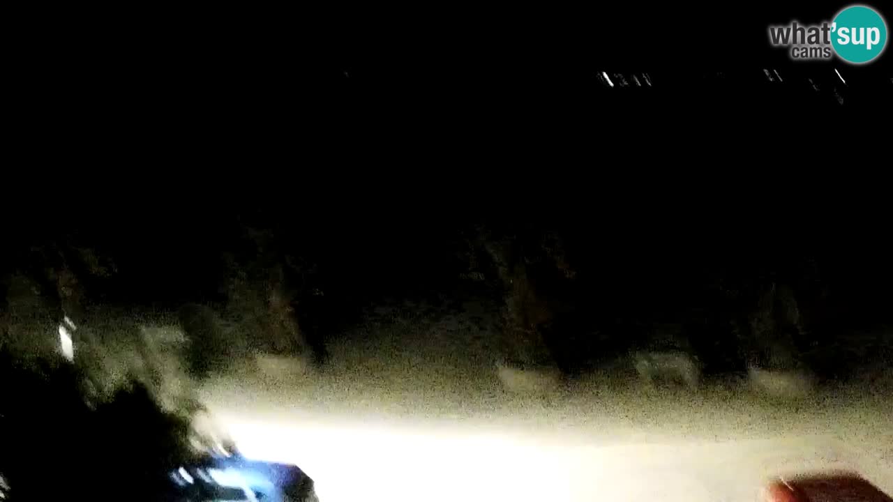 Livecam Vir beach – Dalmatia