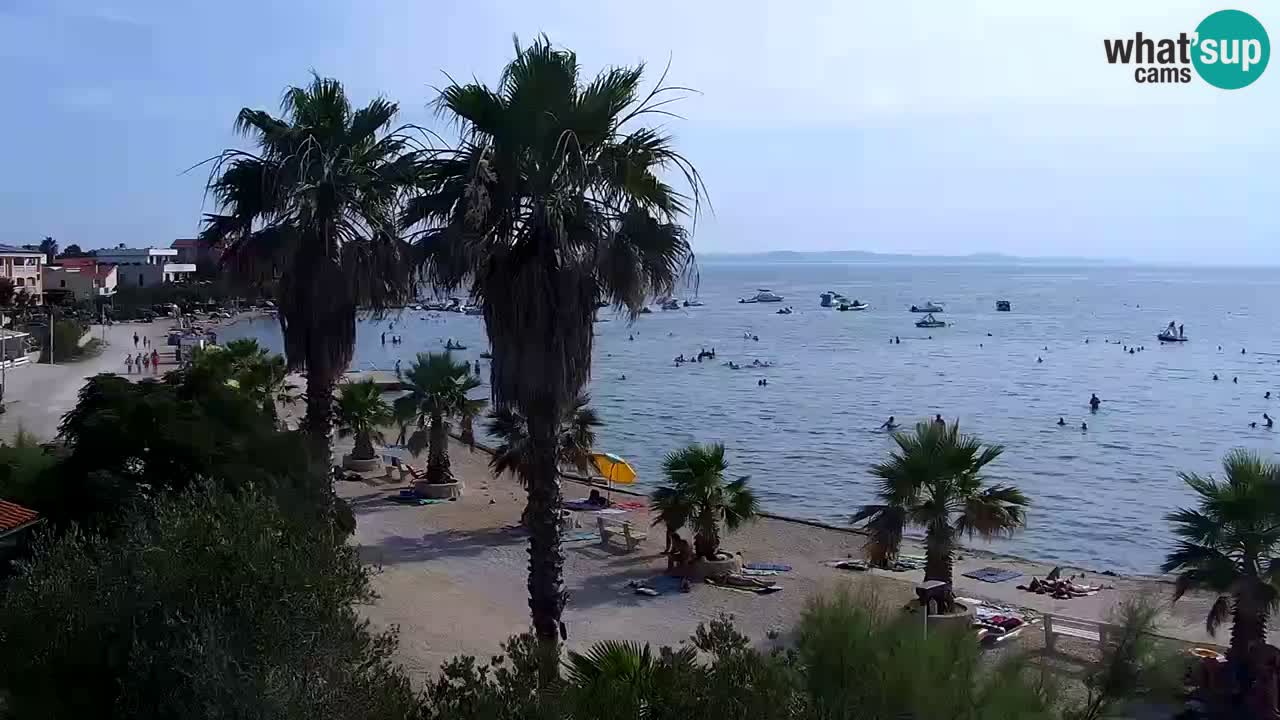 Livecam Vir beach – Dalmatia