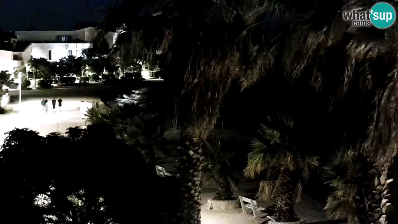 Kamera v živo Vir – Plaža