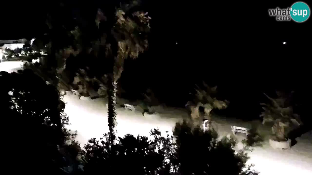 Livecam Vir beach – Dalmatia
