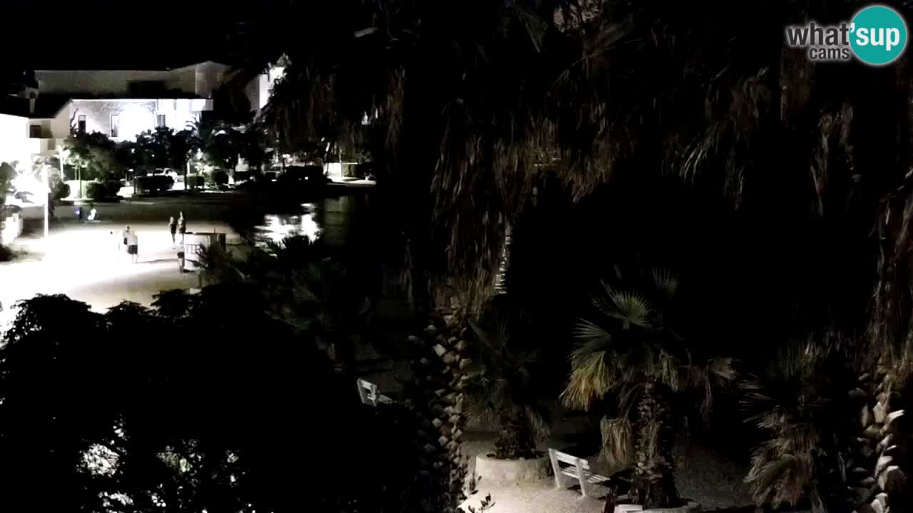 Livecam Vir beach – Dalmatia