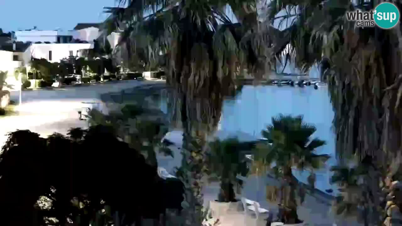 Web kamera Vir – Plaža