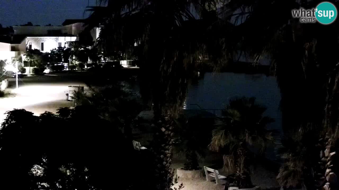 Kamera v živo Vir – Plaža