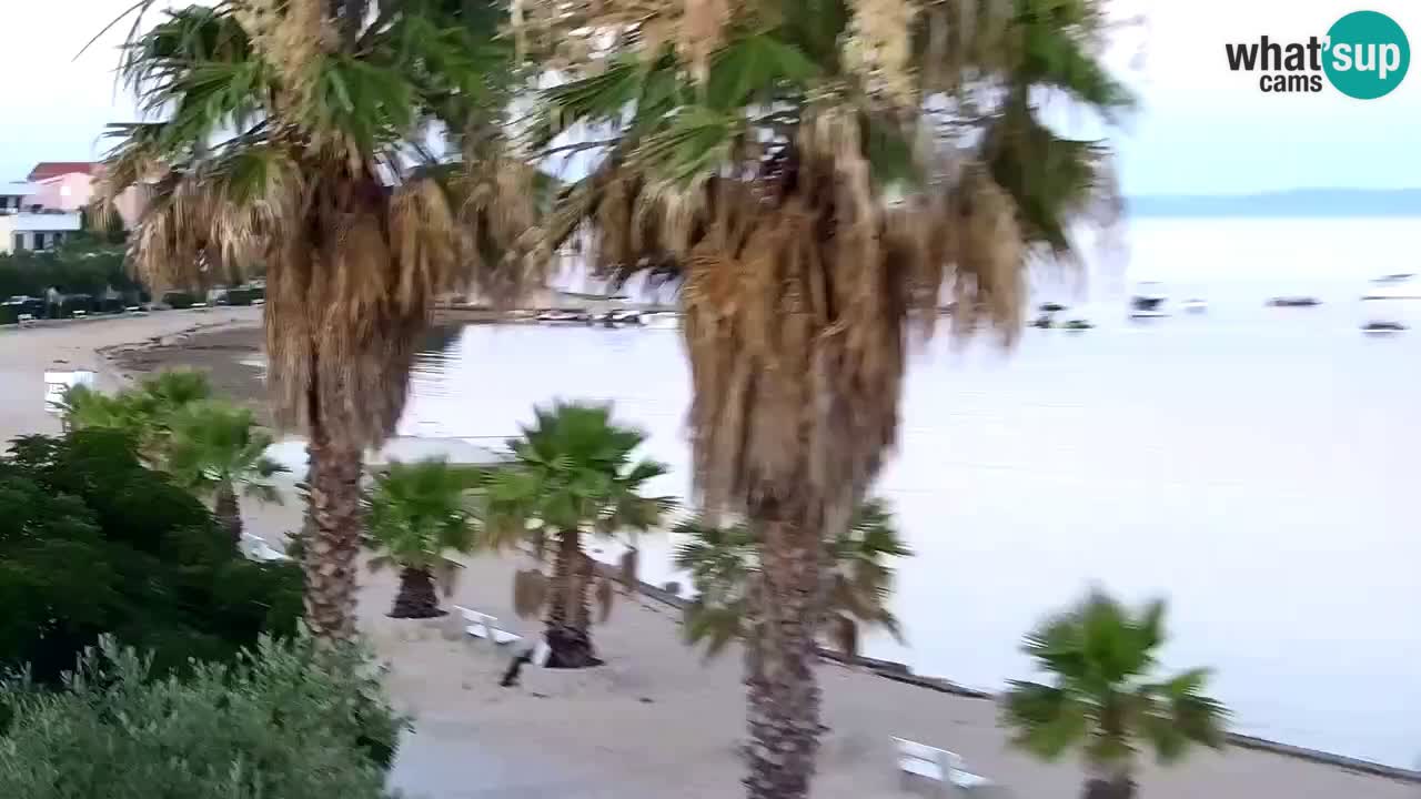 Web kamera Vir – Plaža