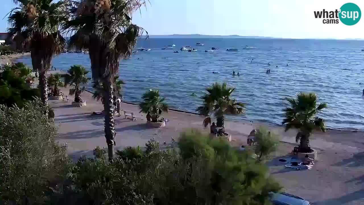 Live cam Vir – Plage