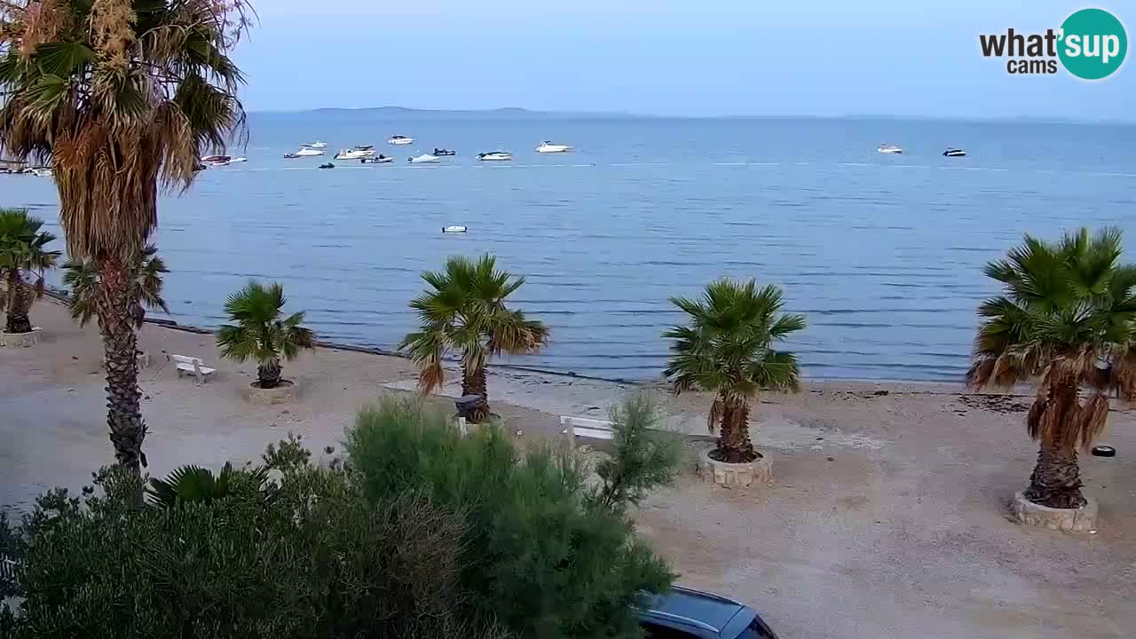 Live cam Vir – Plage