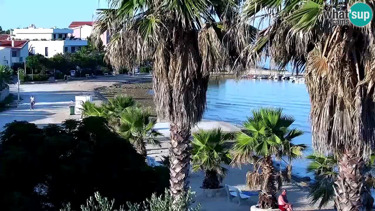Live cam Vir – Plage