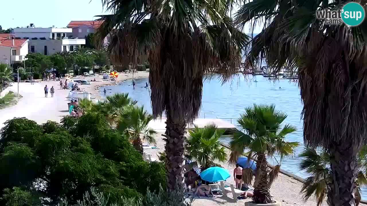 Livecam Vir beach – Dalmatia
