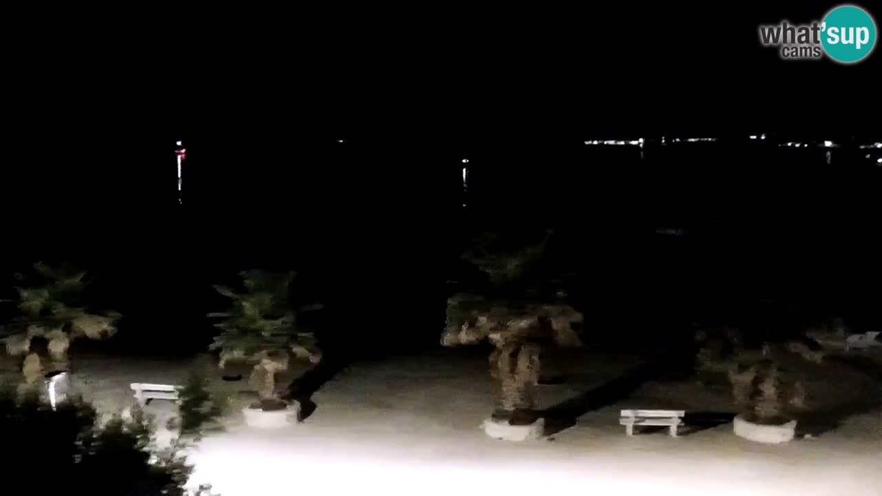 Live cam Vir – Plage