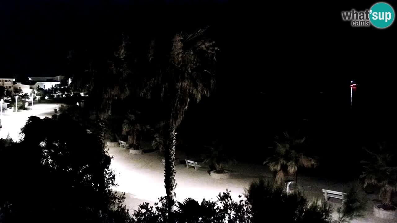 Livecam Vir beach – Dalmatia