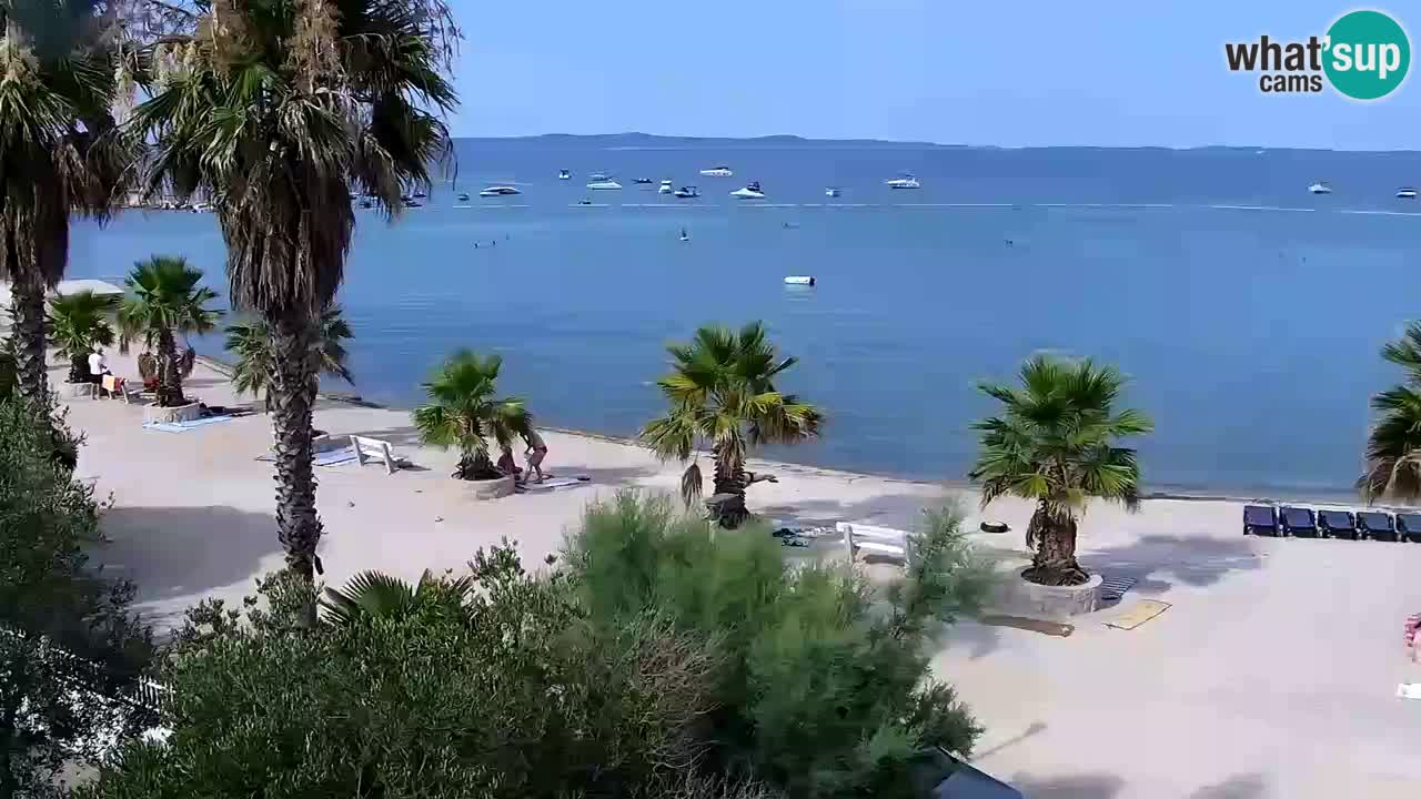 Livecam Vir beach – Dalmatia