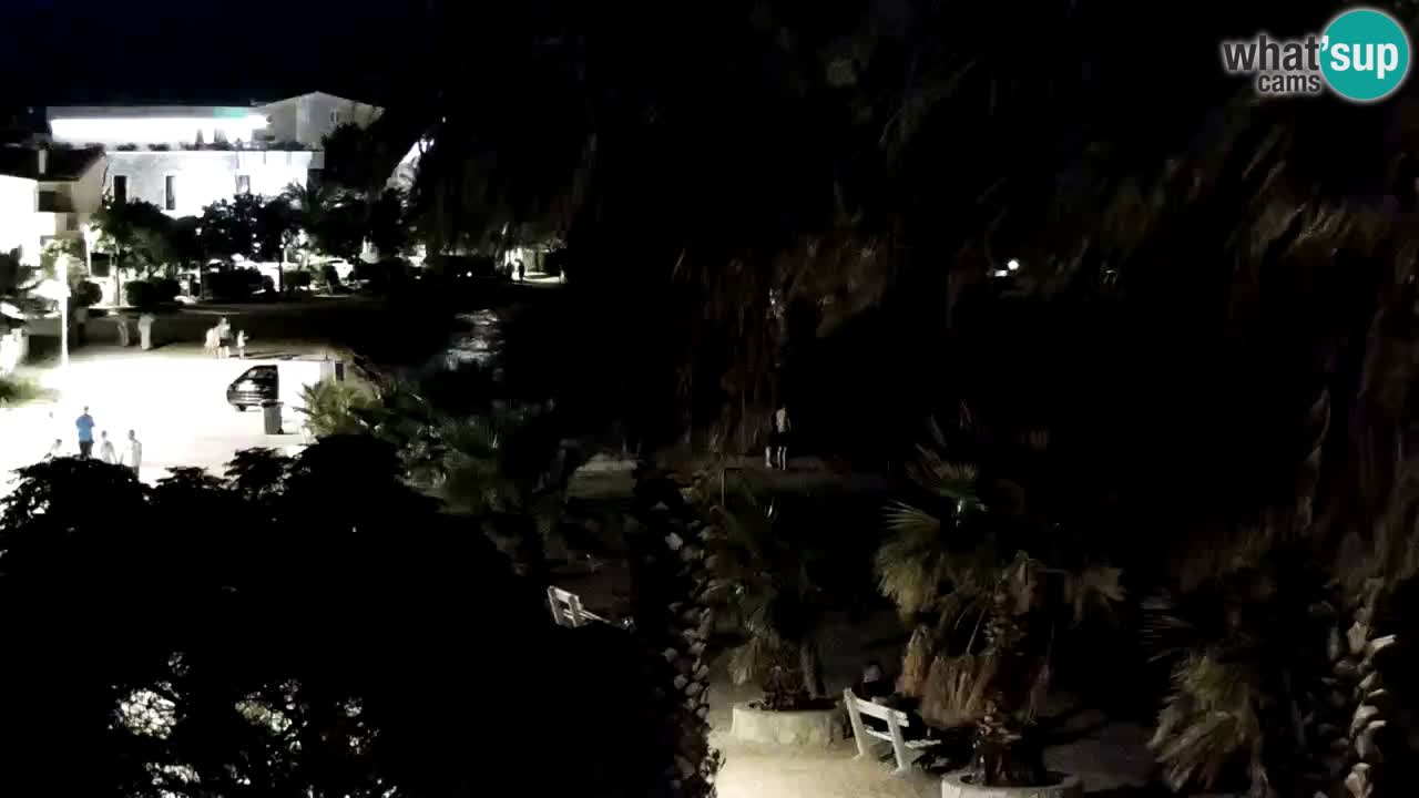 Livecam Vir beach – Dalmatia
