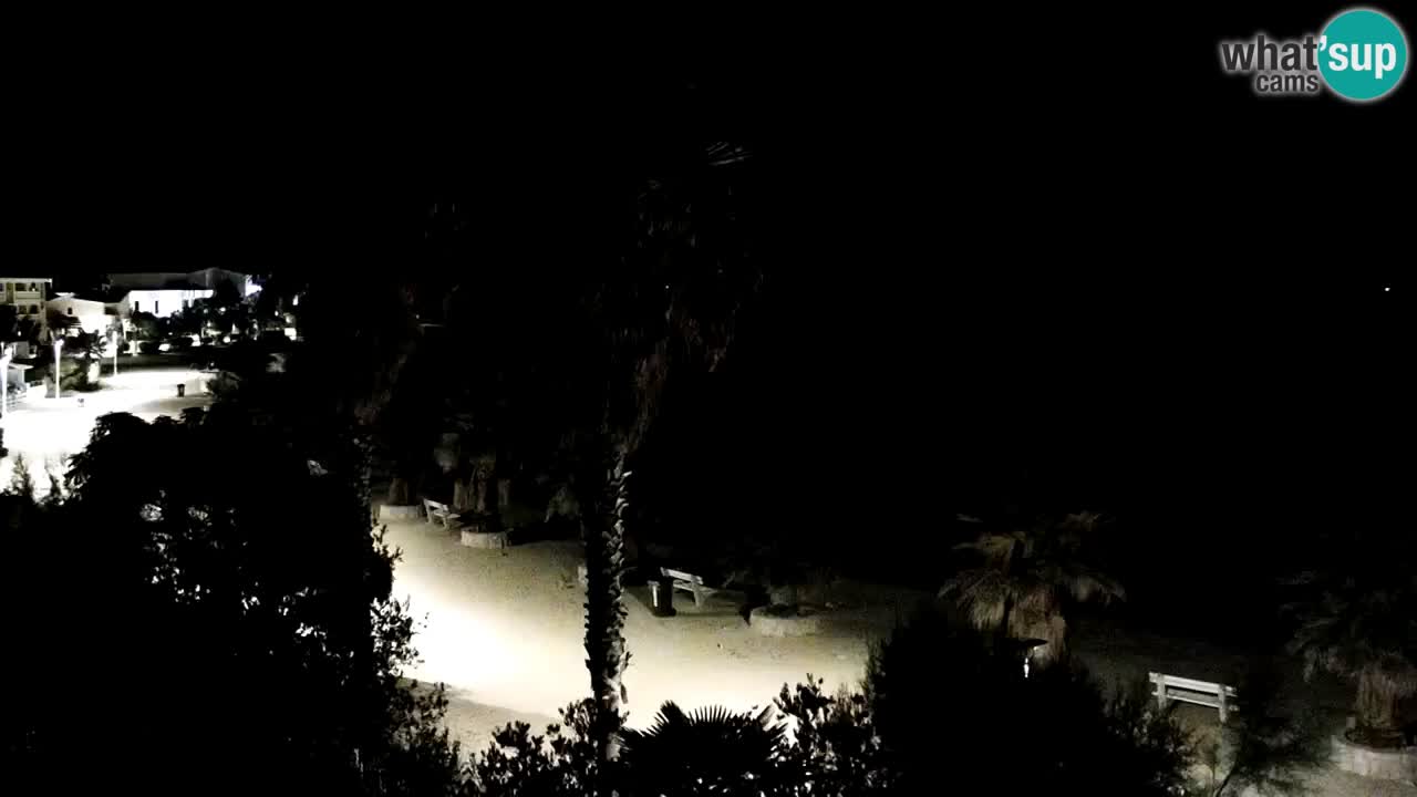 Live cam Vir – Plage