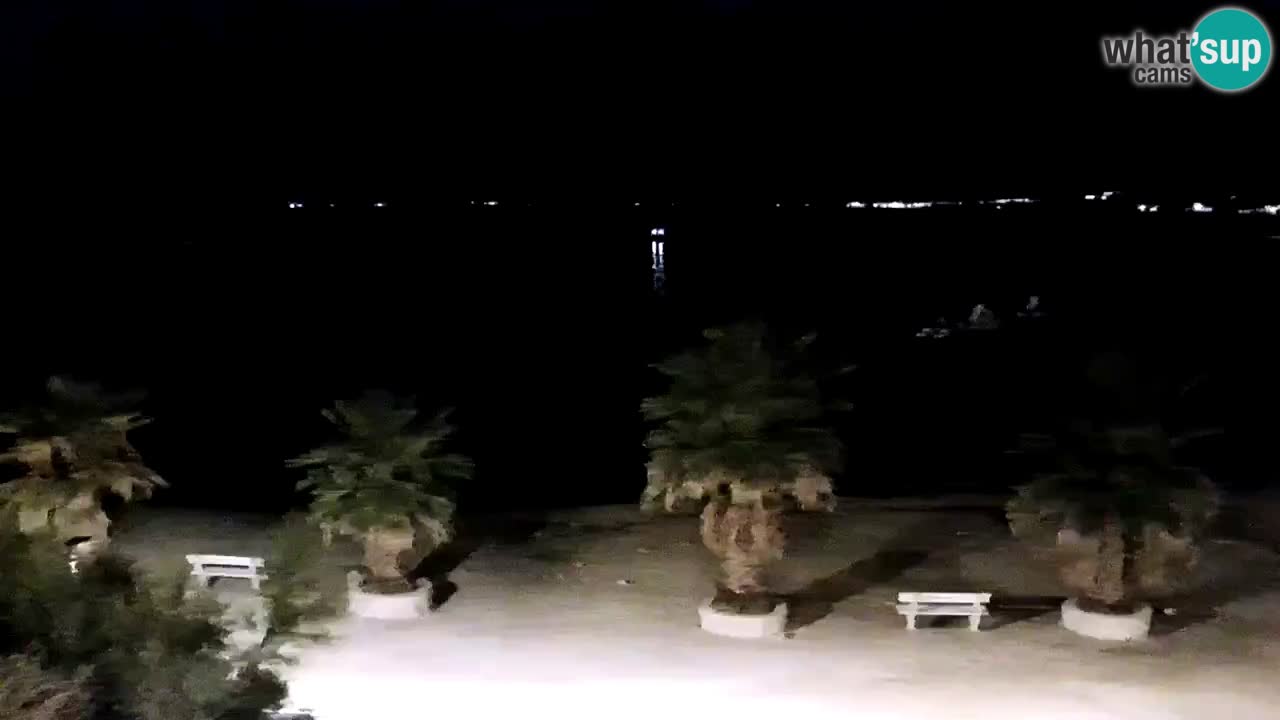 Live cam Vir – Plage