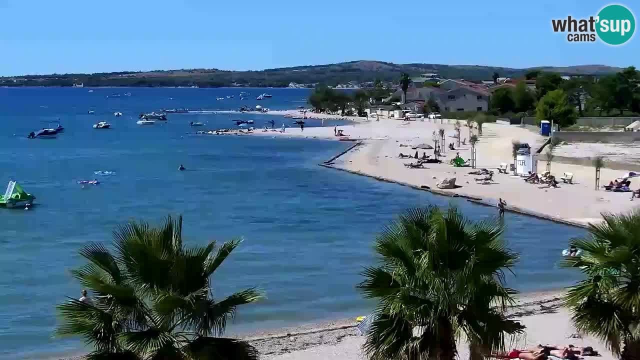 Live cam Vir – Plage