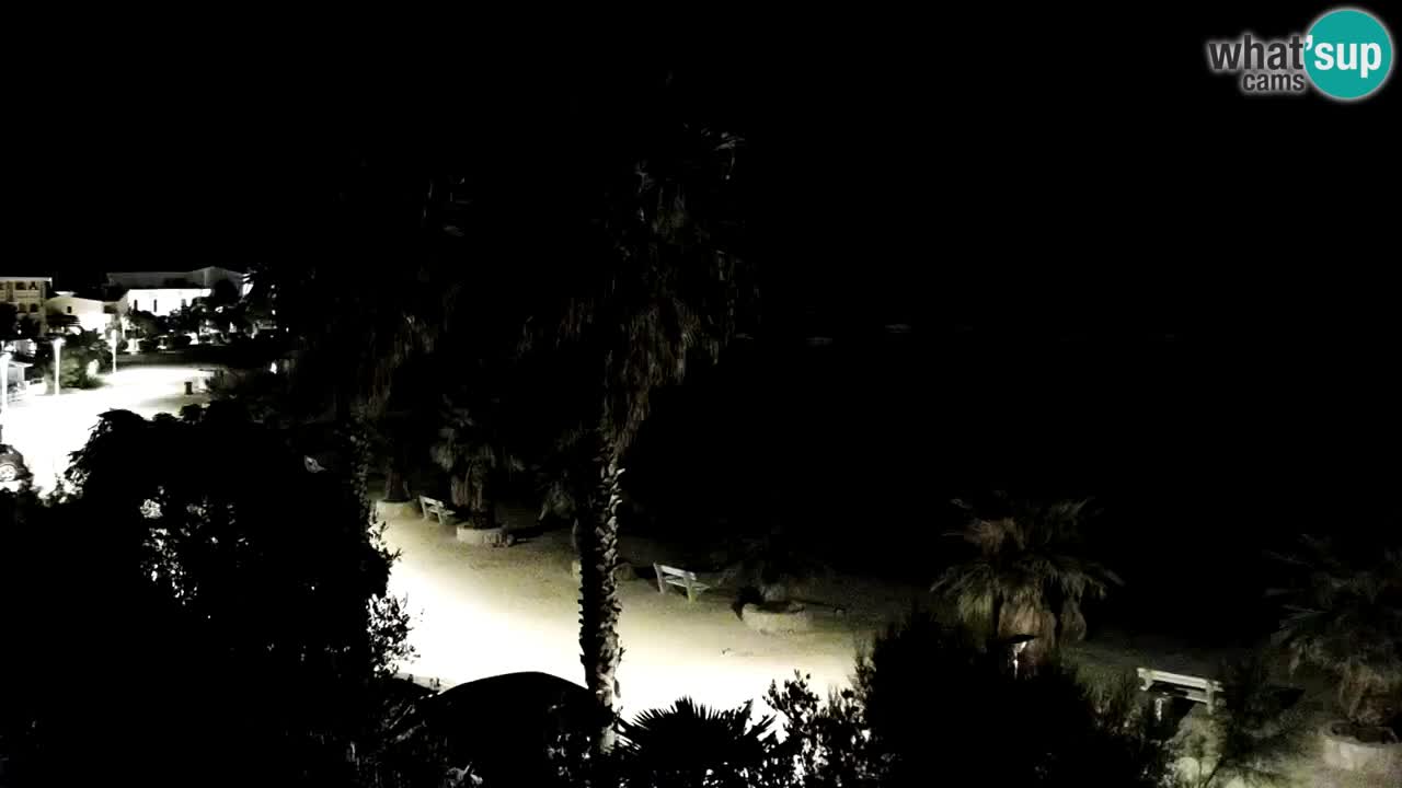 Live cam Vir – Plage