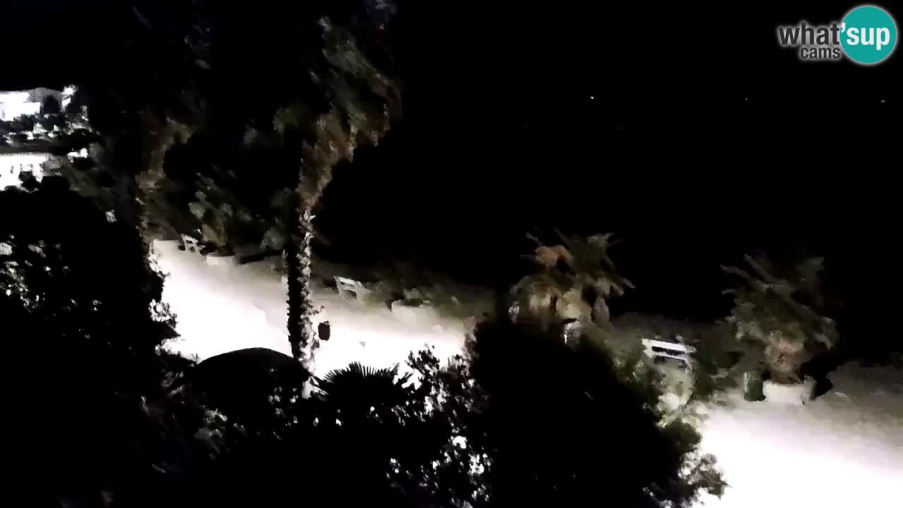 Live cam Vir – Plage
