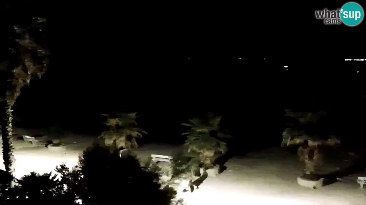 Kamera v živo Vir – Plaža