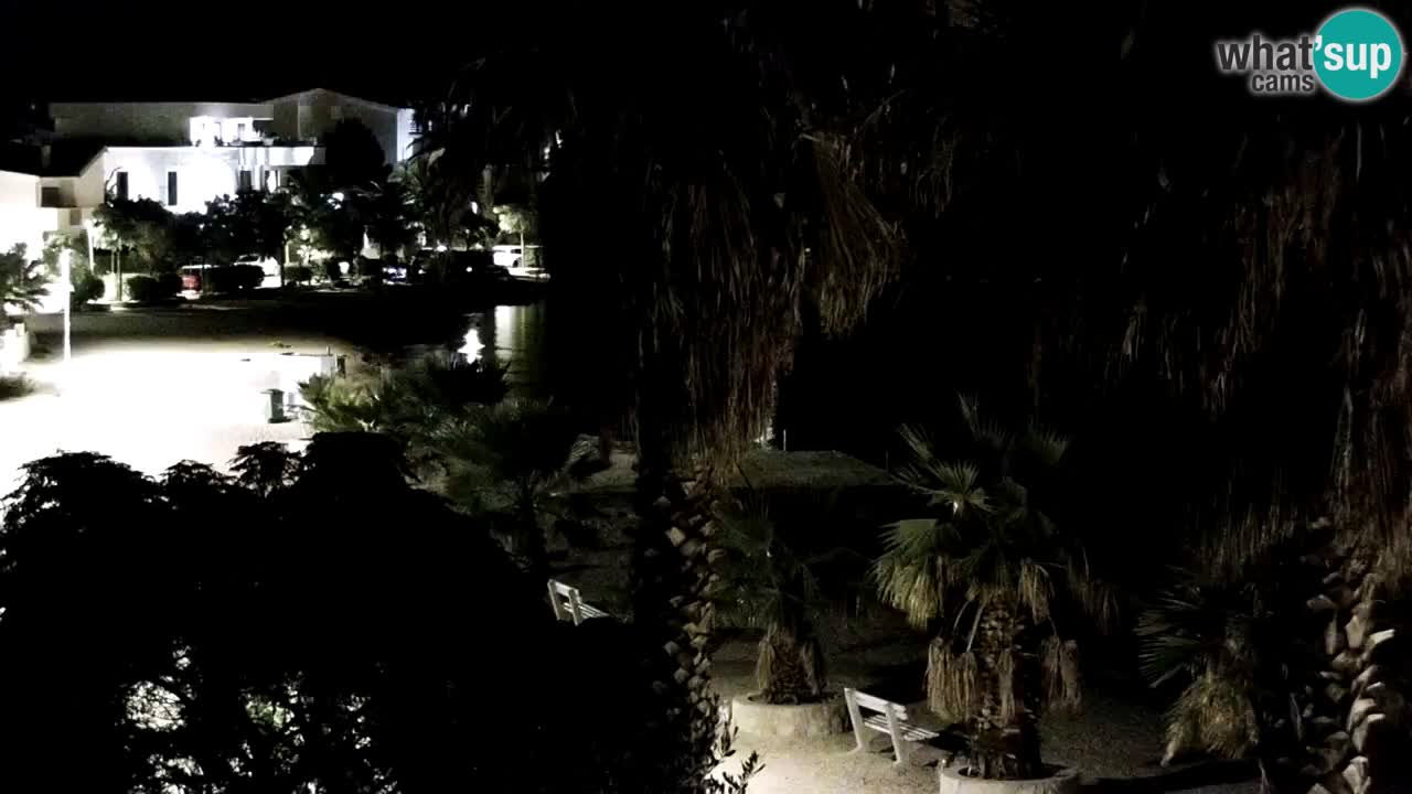 Live cam Vir – Plage