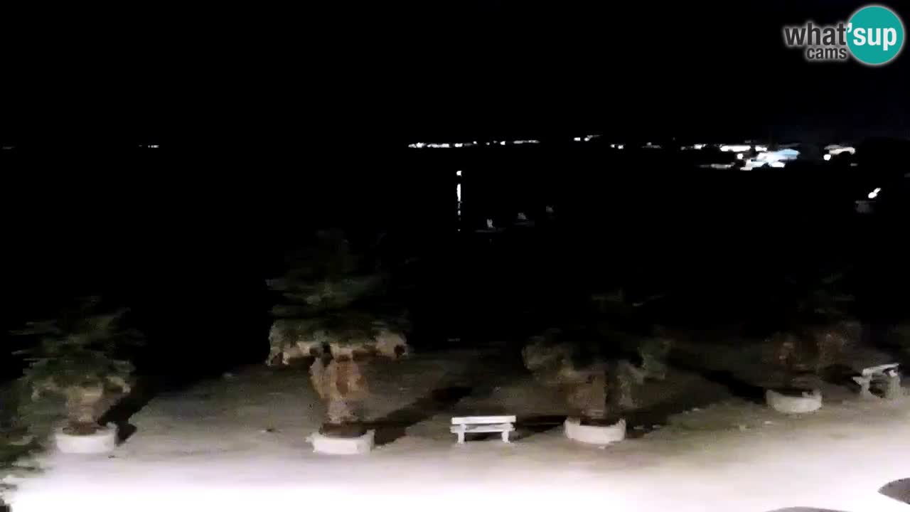 Live cam Vir – Plage