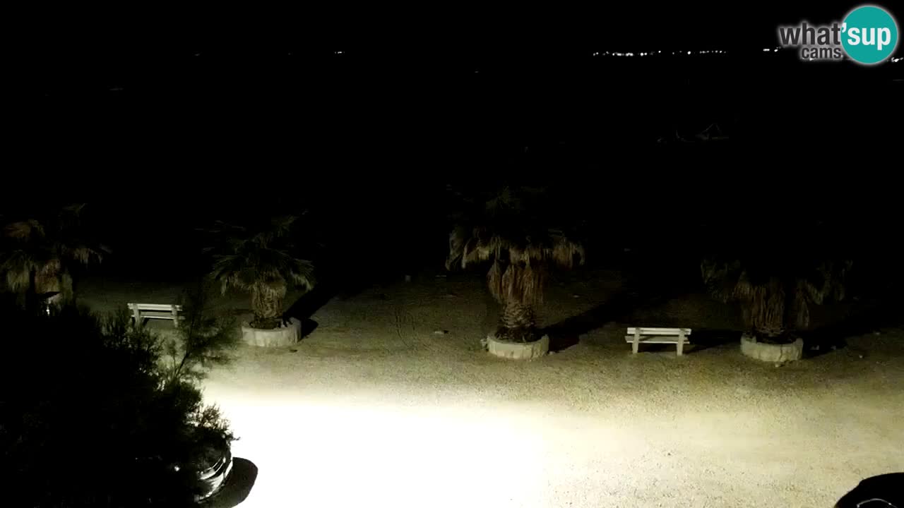 Live cam Vir – Plage