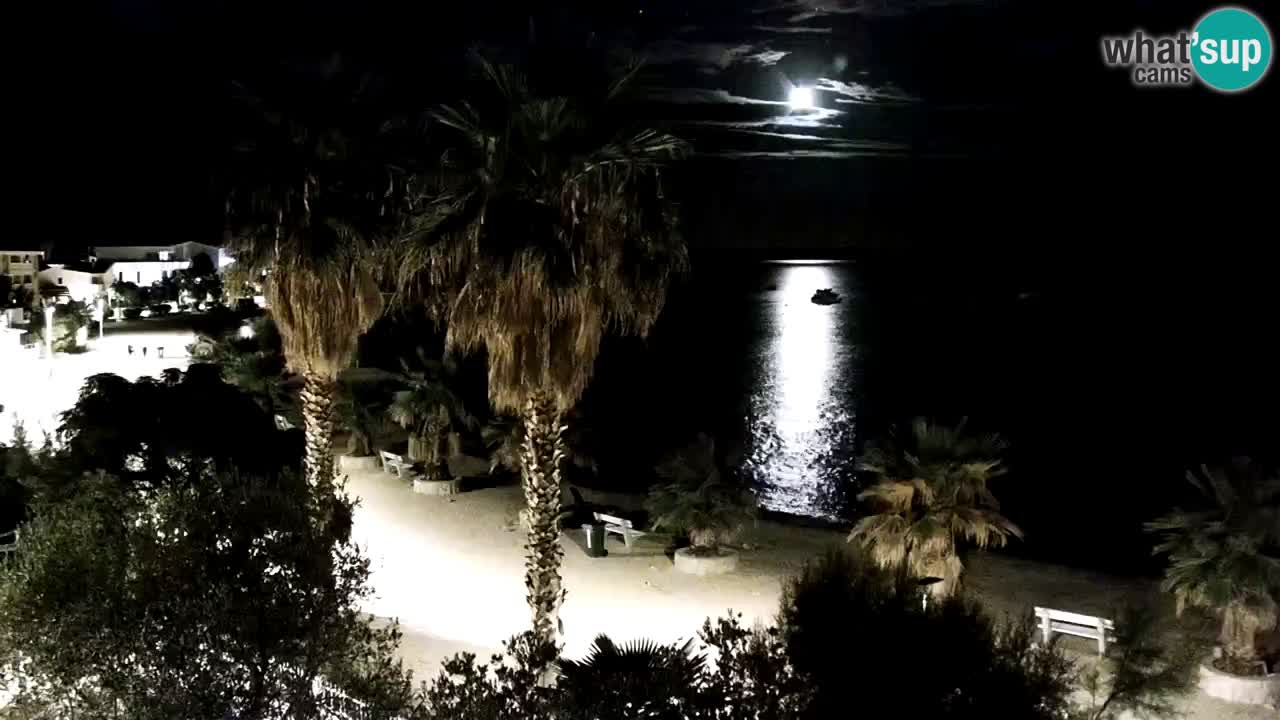 Kamera v živo Vir – Plaža