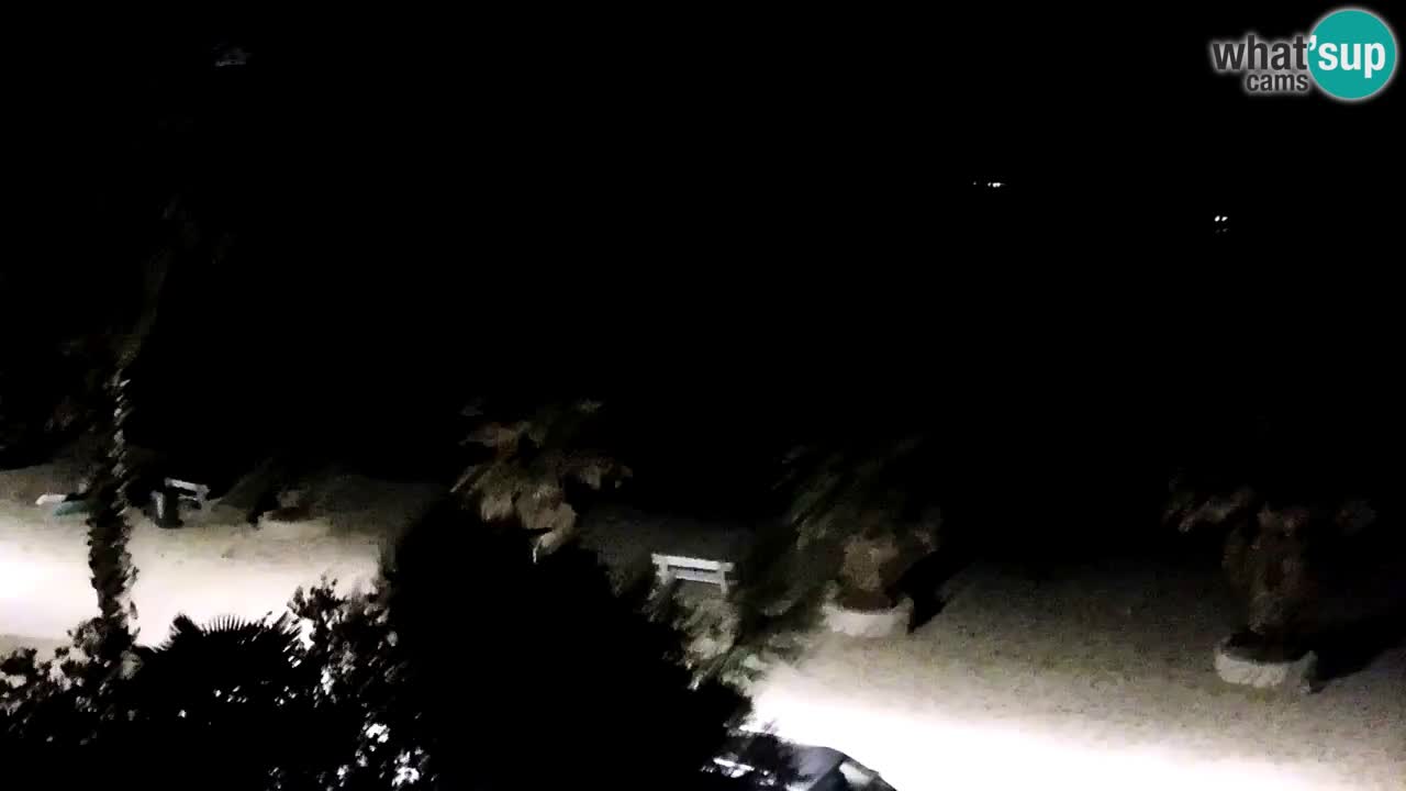 Webcam Vir – Strand
