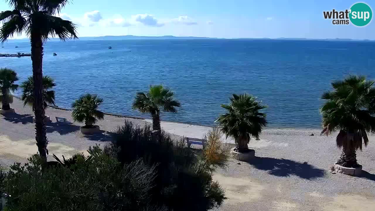 Kamera v živo Vir – Plaža