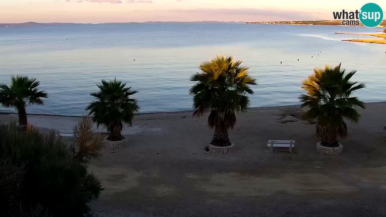 Live cam Vir – Plage