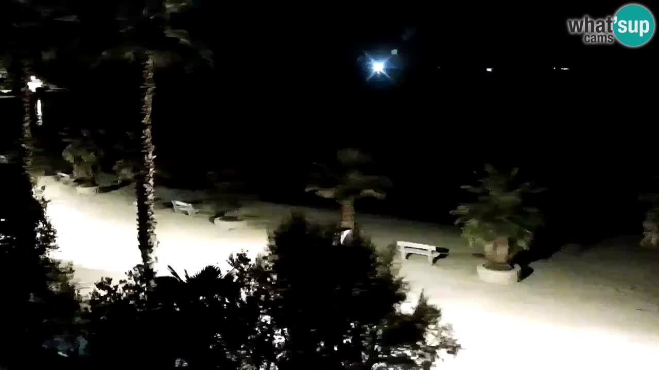 Live cam Vir – Plage