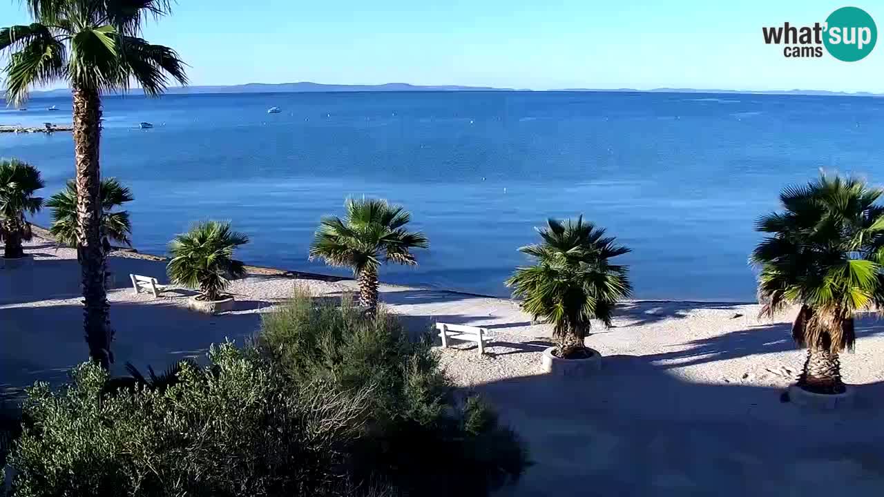 Webcam Vir – Strand