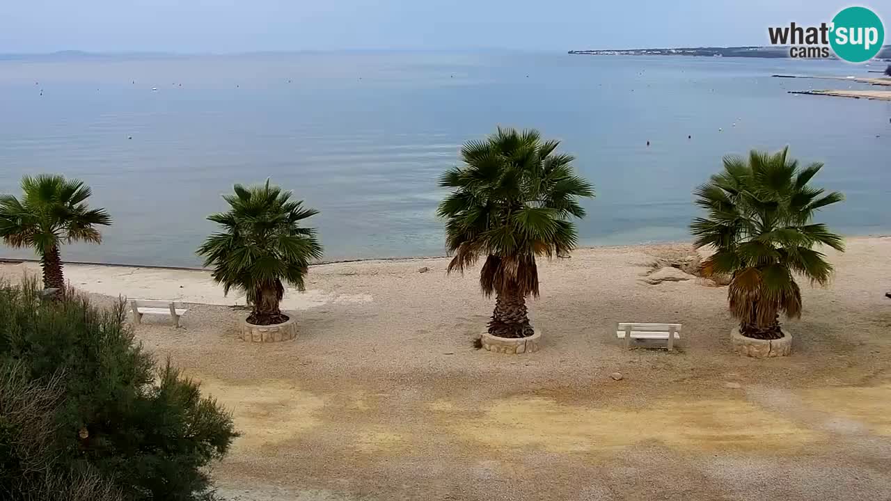 Kamera v živo Vir – Plaža