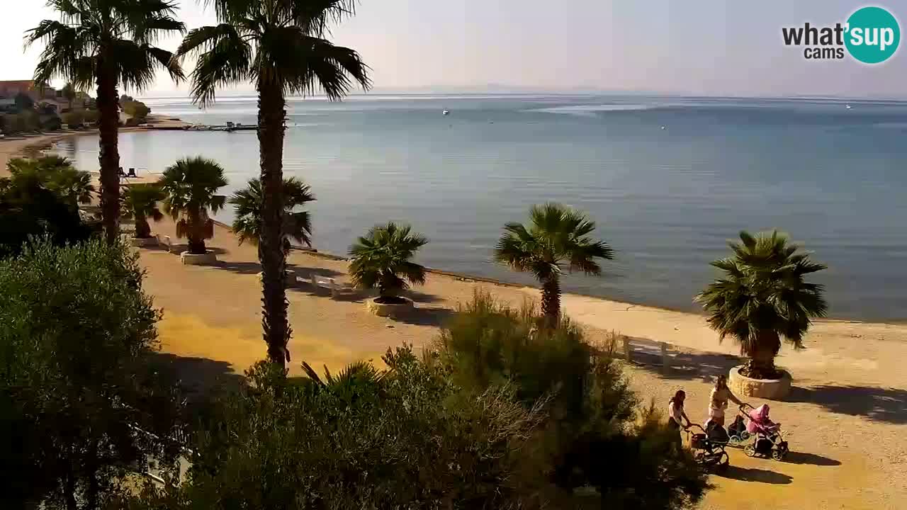 Webcam Vir – Spiaggia