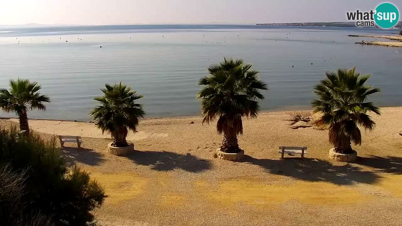 Live cam Vir – Plage