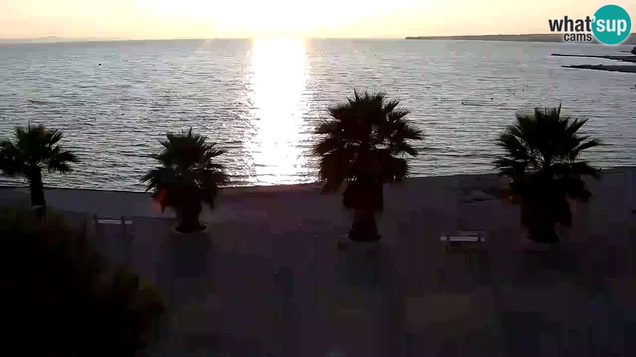 Live cam Vir – Plage