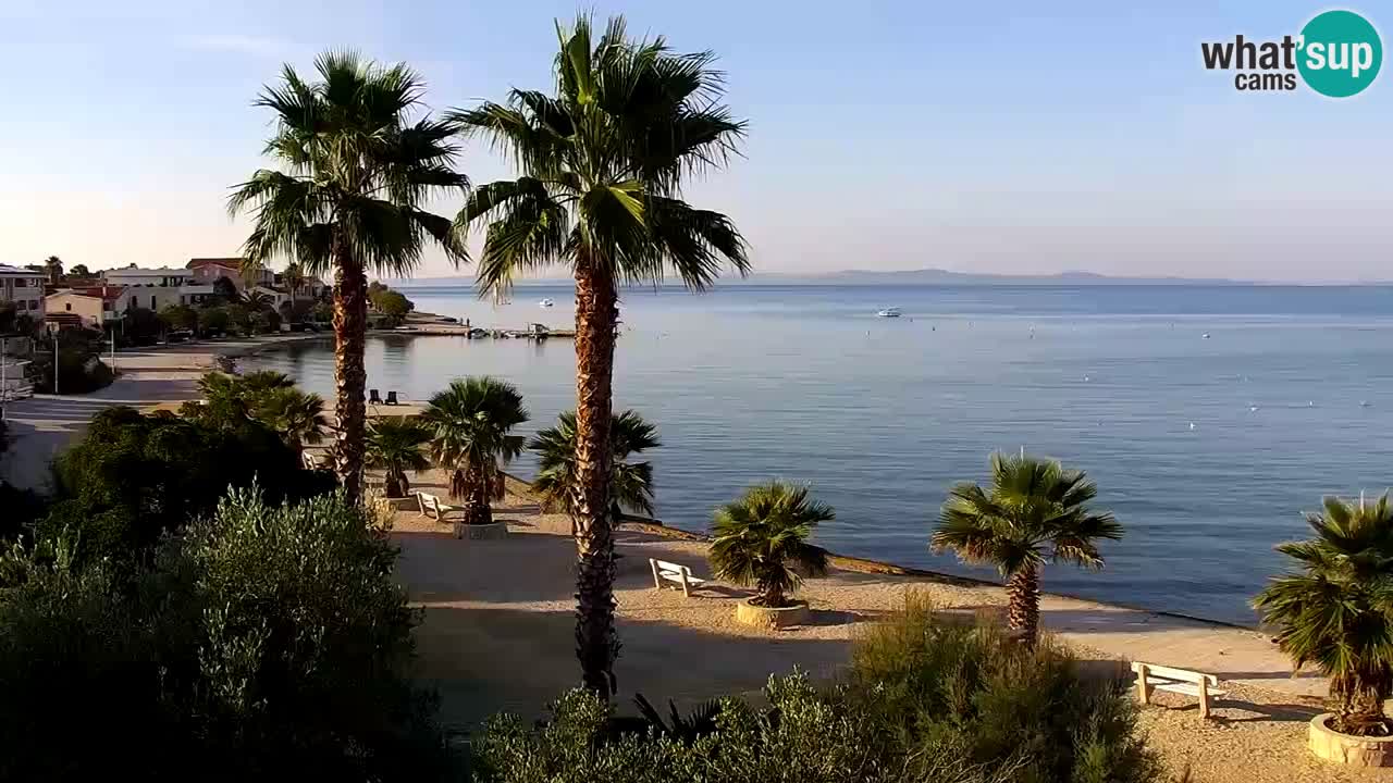 Live cam Vir – Plage