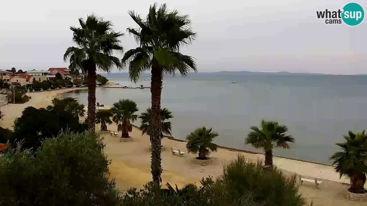 Kamera v živo Vir – Plaža