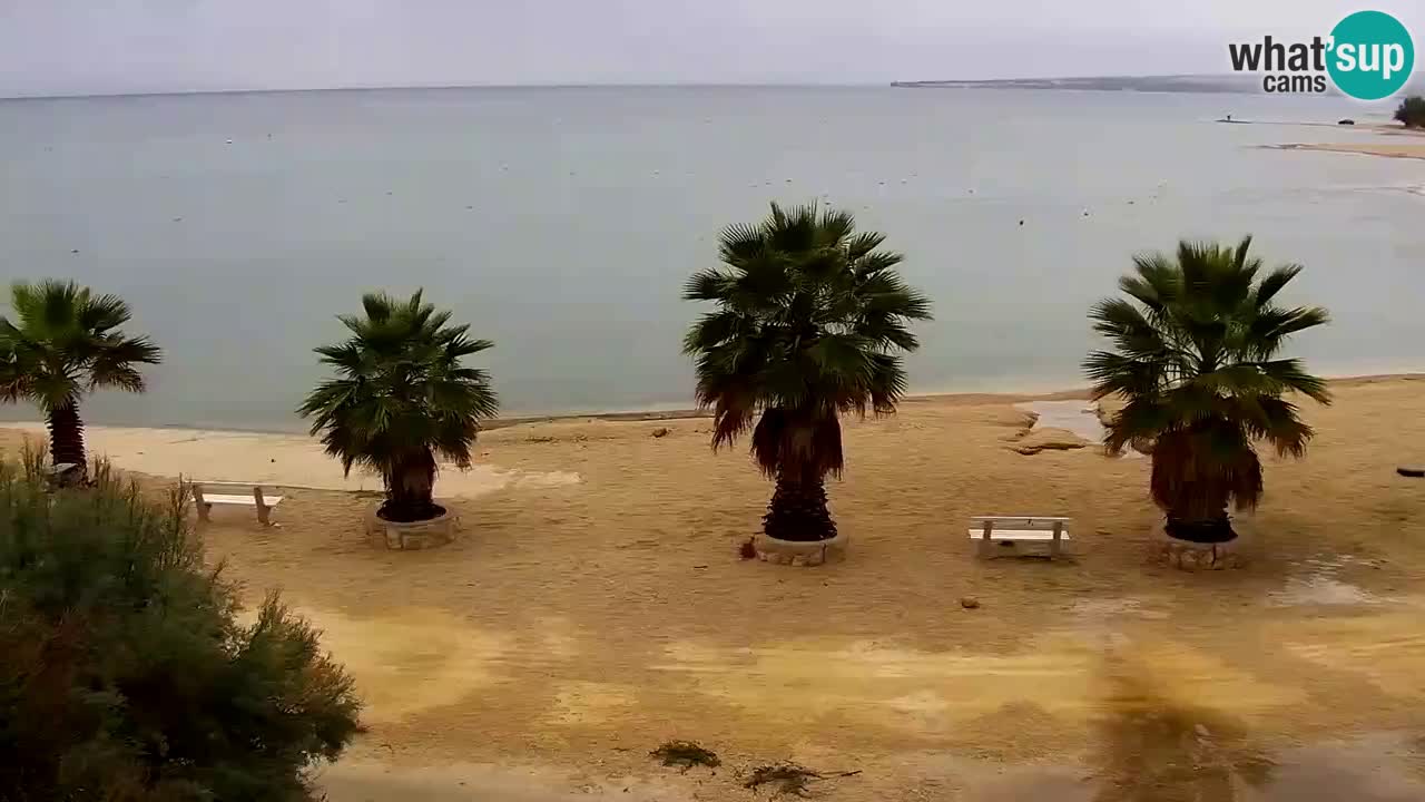 Live cam Vir – Plage