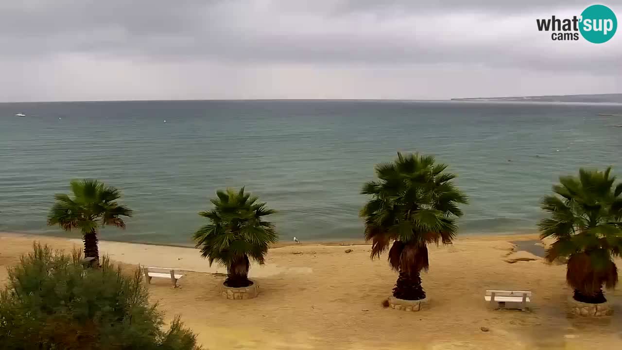 Webcam Vir – Spiaggia