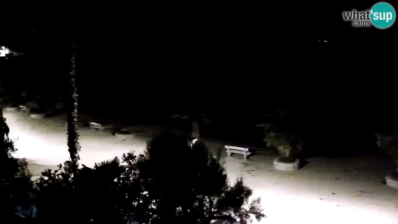 Live cam Vir – Plage