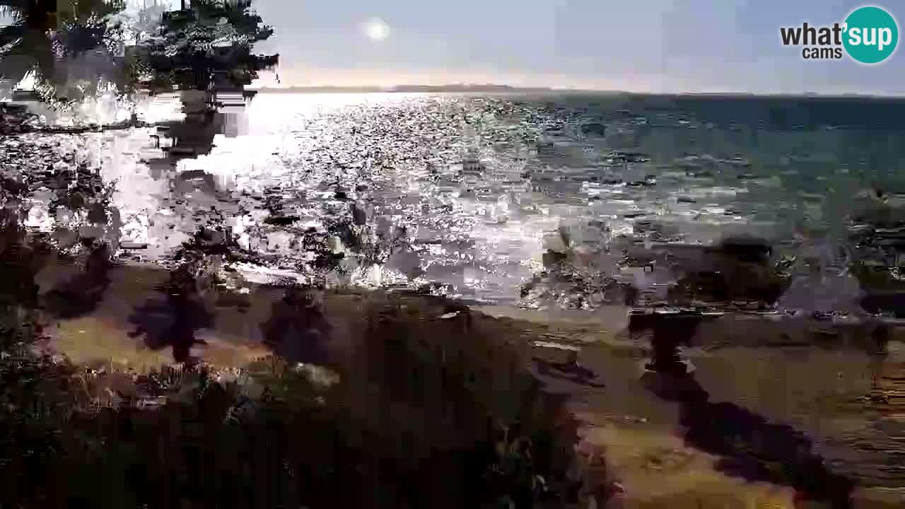 Kamera v živo Vir – Plaža