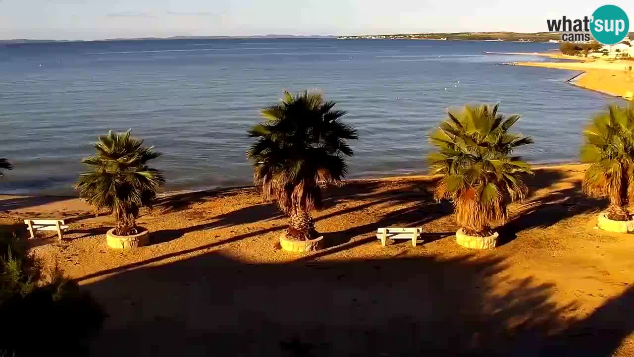 Live cam Vir – Plage
