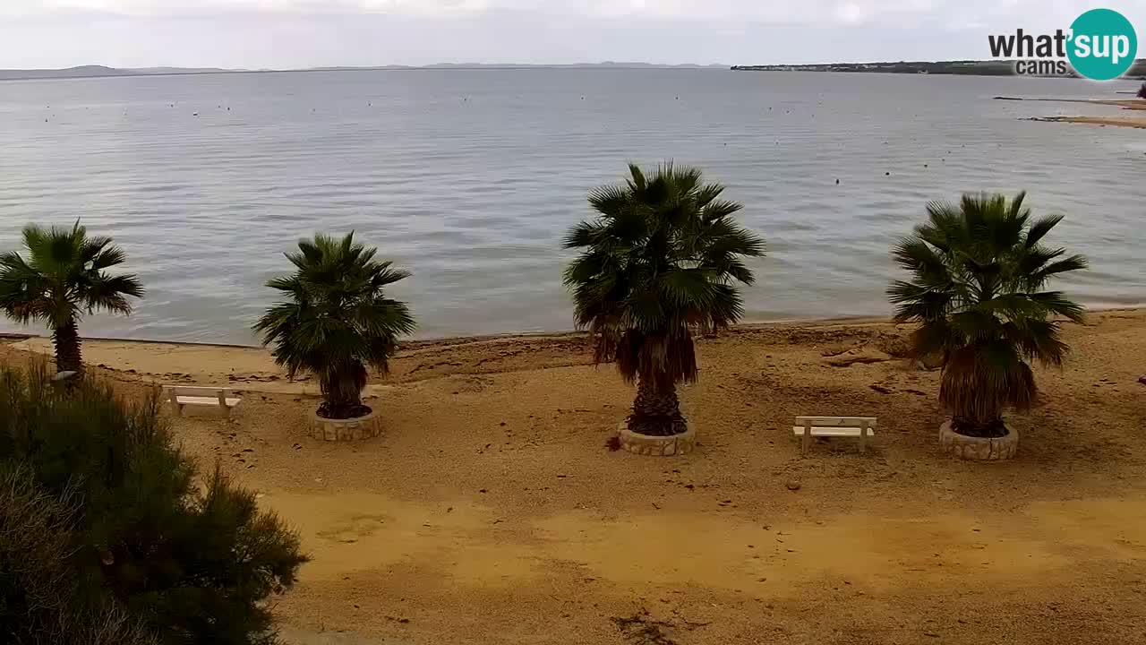 Webcam Vir – Strand