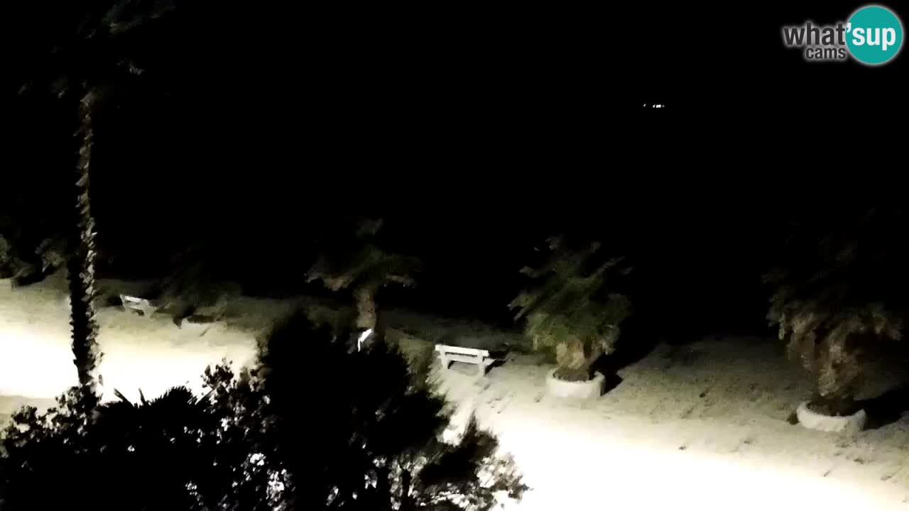 Live cam Vir – Plage