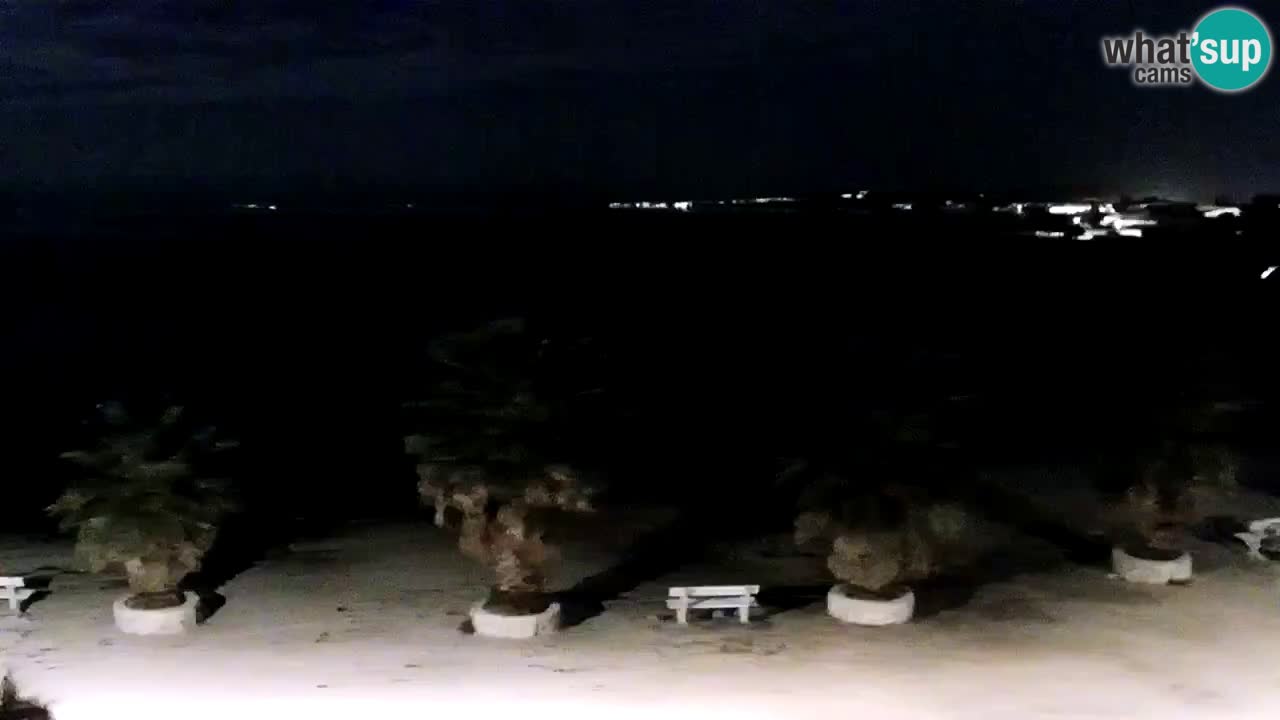 Web kamera Vir – Plaža