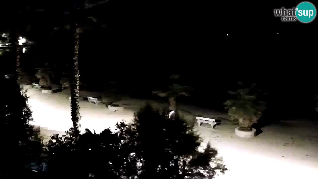 Web kamera Vir – Plaža