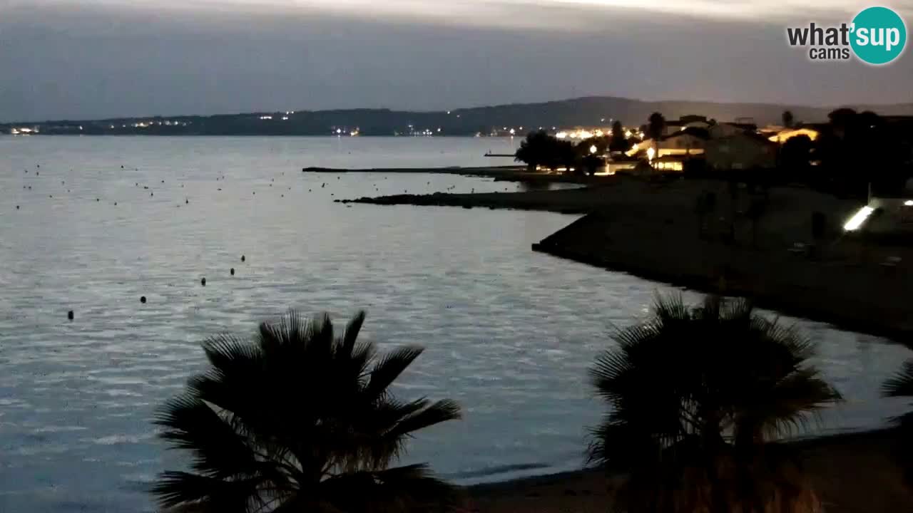 Live cam Vir – Plage